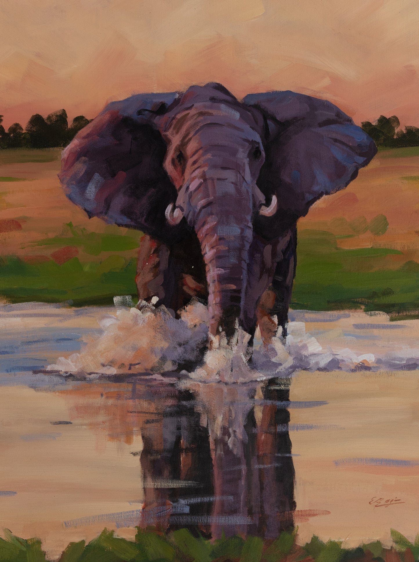Elephant dans la Riviere