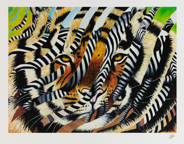 Tigerzebra