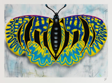 Batterfly