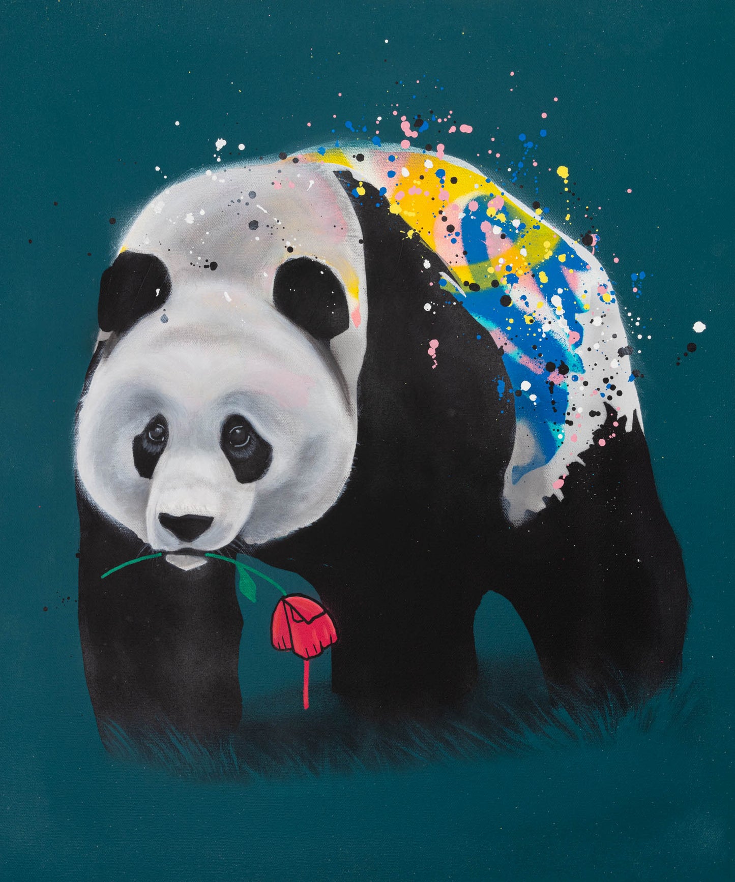 No Kung Fu