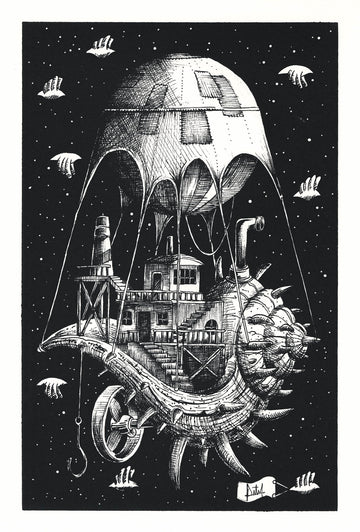 The Seashell
