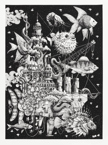 The Fisher