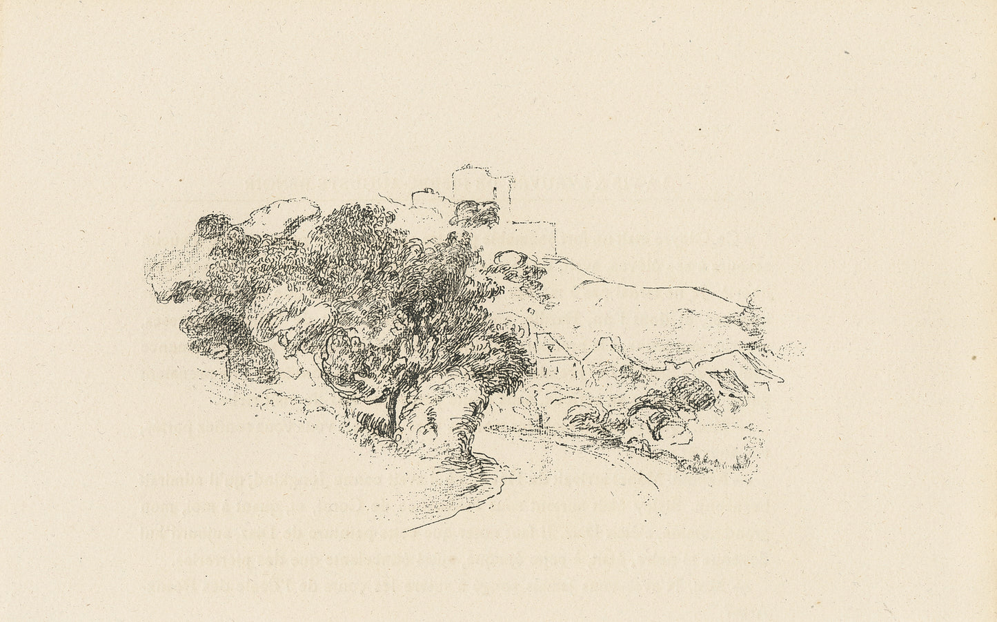 Paysage