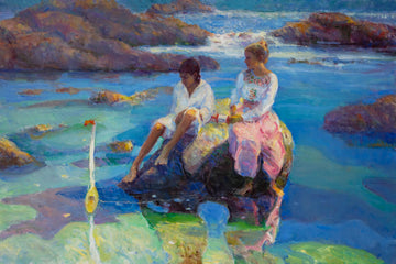 Summer at the Cove