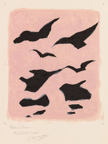 Oiseaux