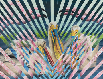 Pelicans and Flamingos