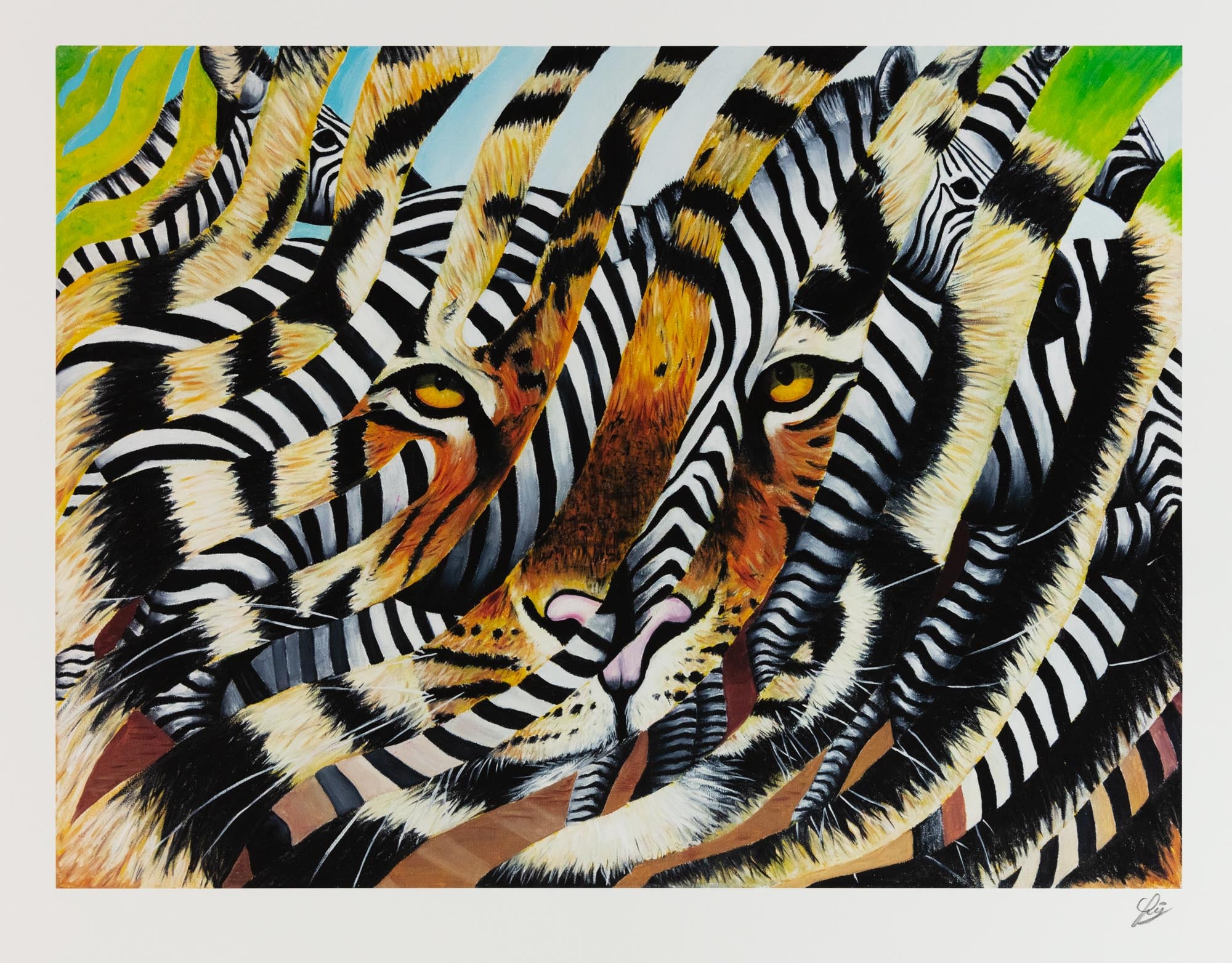 Tigerzebra
